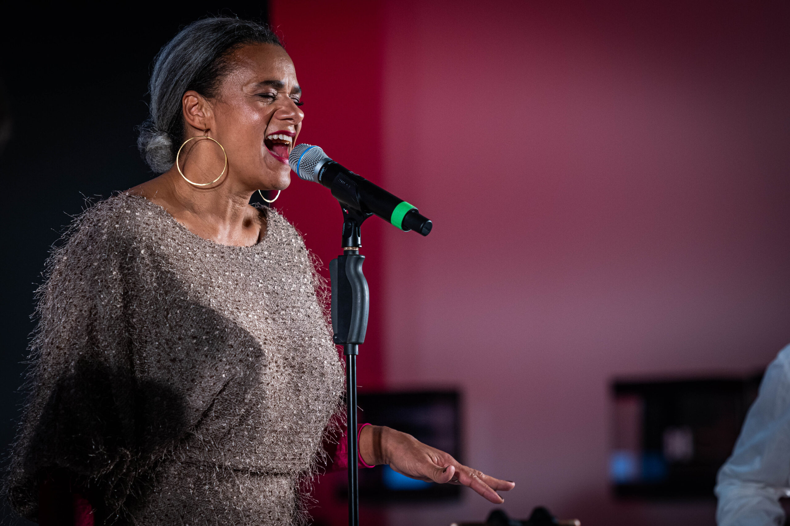Live-Musik im Trio bei einer Gala in Wetzlar